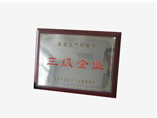 三級(jí)企業(yè)
